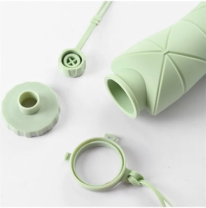 Collapsible Silicone Water Bottle for Gym, School & Travel